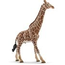 Schleich Spielzeugfigur Giraffenbulle