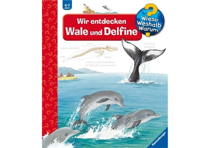 Ravensburger WWW41 Wir entdecken Wale und