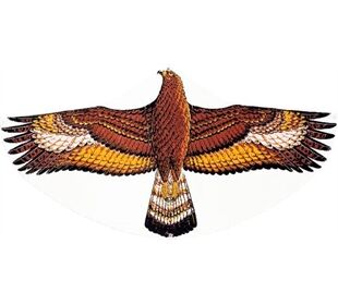 GÜNTHER Drachen Steinadler 122x68cm