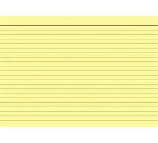 BRUNNEN Karteikarten Pg. A5 lin ge