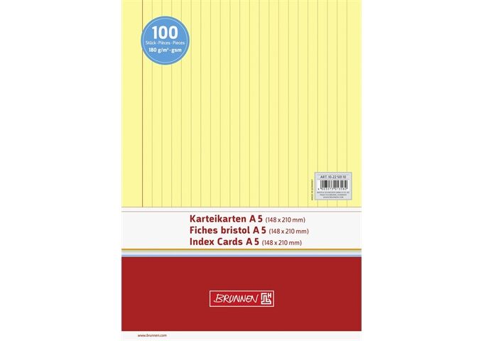 BRUNNEN Karteikarten Pg. A5 lin ge