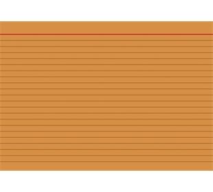 BRUNNEN Karteikarten Pg. A5 lin or