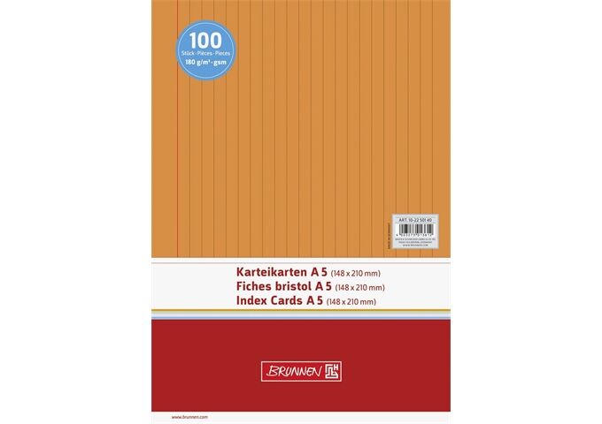 BRUNNEN Karteikarten Pg. A5 lin or