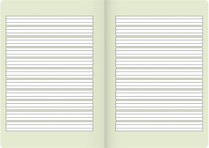 BRUNNEN Heft Vivendi A5 16Bl Lin01 FSC