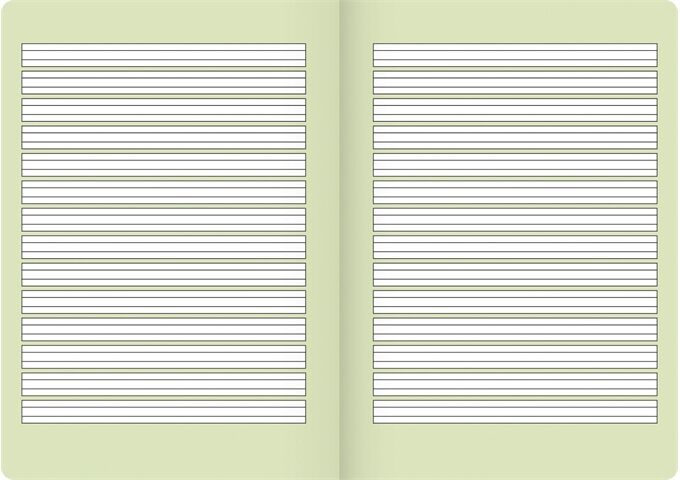 BRUNNEN Heft Vivendi A5 16Bl Lin02 FSC