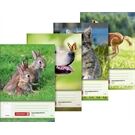 BRUNNEN Aufgabenheft A5 24Bl Motiv