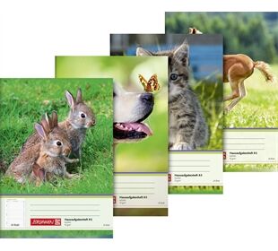 BRUNNEN Aufgabenheft A5 24Bl Motiv