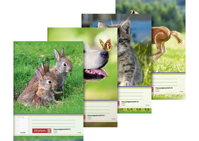 BRUNNEN Aufgabenheft A5 24Bl Motiv