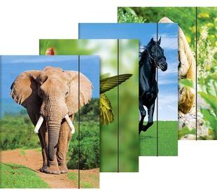 BRUNNEN Sammelmappe A3 Tiere Gummi