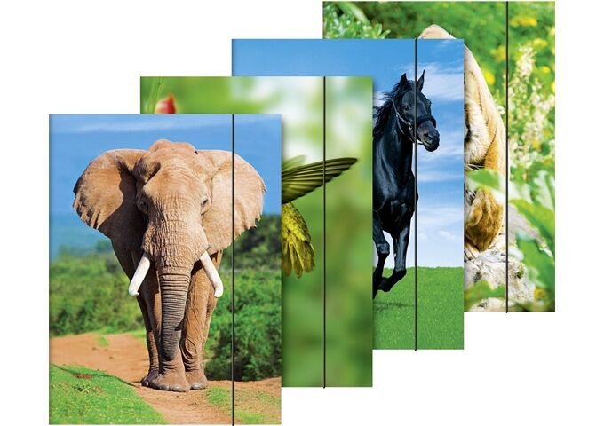 BRUNNEN Sammelmappe A3 Tiere Gummi