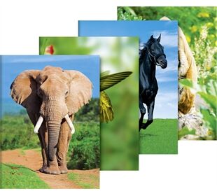 BRUNNEN Sammelmappe f. A3 Tiere