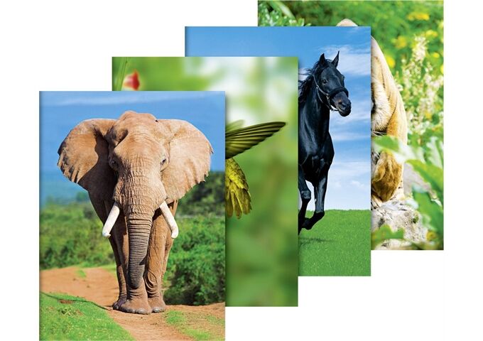 BRUNNEN Sammelmappe f. A3 Tiere