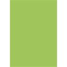 BRUNNEN Universalp. 25Bl 160g grün