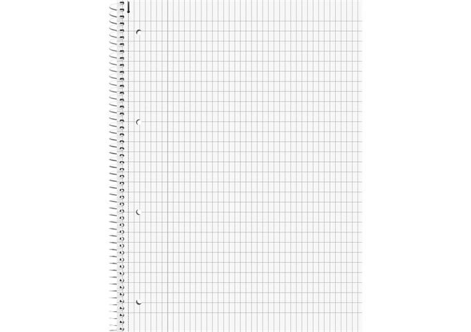 BRUNNEN Collegeblock A4 80Bl rautiert