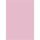 BRUNNEN Tonzeichen A4 rosa EAN