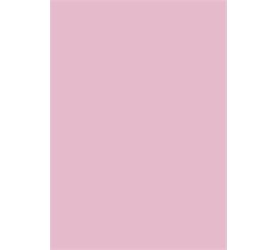 BRUNNEN Tonzeichen A4 rosa EAN