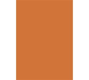 BRUNNEN Tonzeichen A4 orange EAN