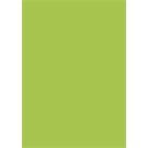 BRUNNEN Tonzeichen A4 maigrün EAN