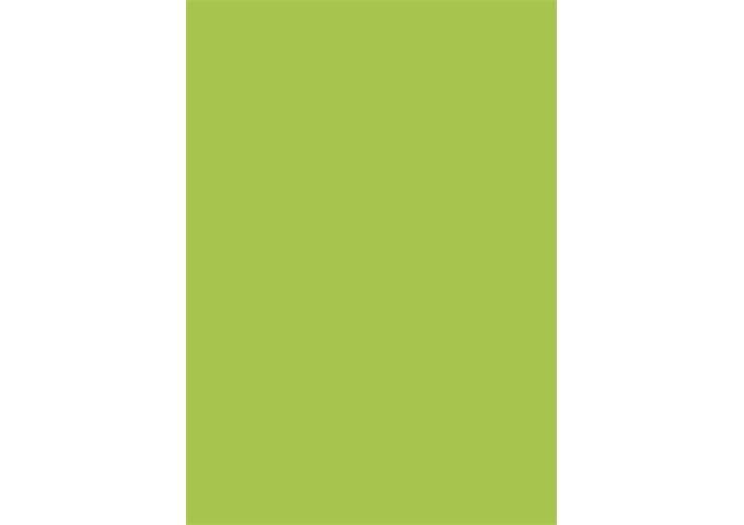 BRUNNEN Tonzeichen A4 maigrün EAN