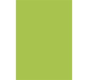 BRUNNEN Fotoktn A4 maigrün EAN