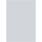 BRUNNEN Fotoktn A4 silber matt EAN