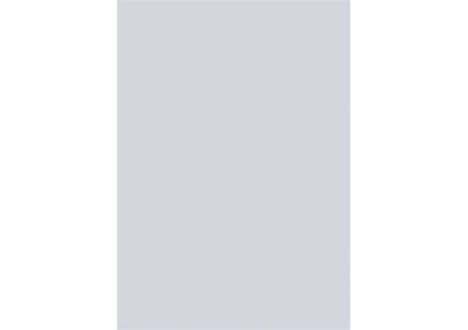 BRUNNEN Fotoktn A4 silber matt EAN