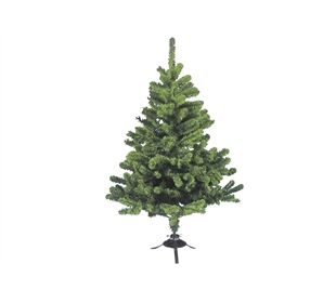 my choice Deutsche Fichte 60 cm