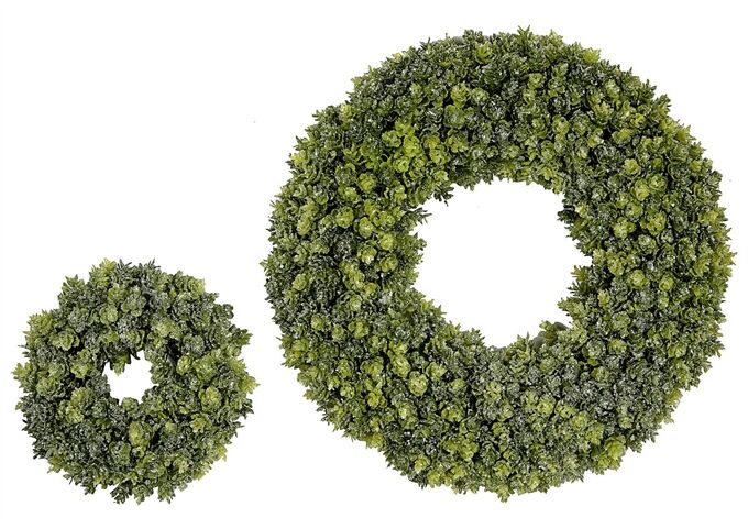 EK LOTUSBLATT MEDIUM