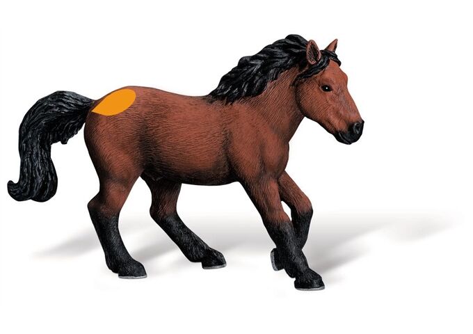 Ravensburger Tiptoi Dartmoor Pony