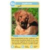 Ravensburger Quartett Hunde