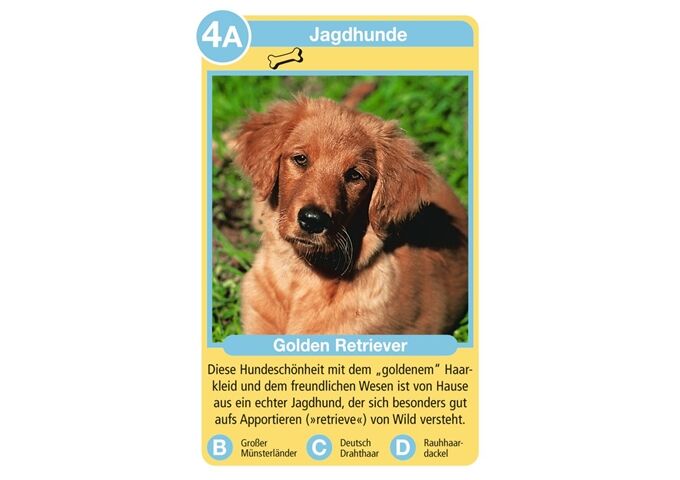 Ravensburger Quartett Hunde