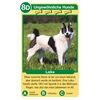 Ravensburger Quartett Hunde