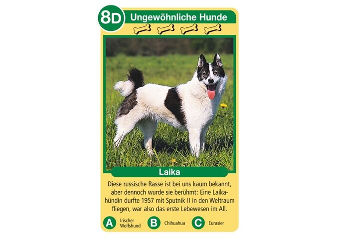 Ravensburger Quartett Hunde