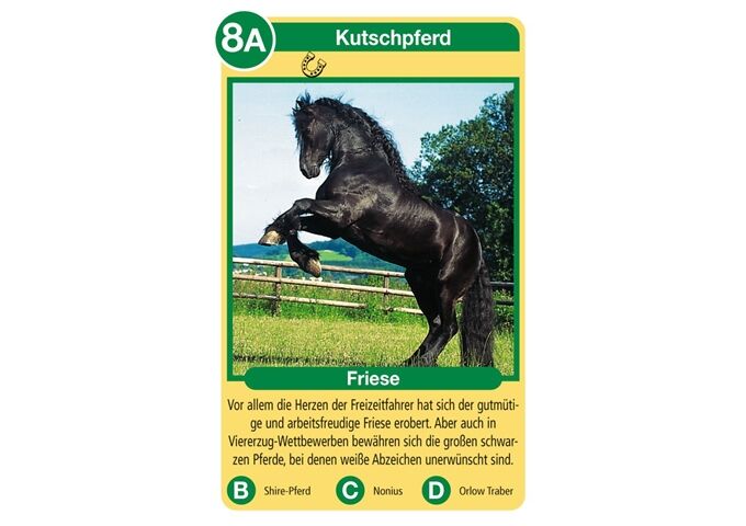 Ravensburger Quartett Pferde & Ponys