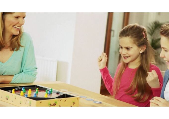 Ravensburger Die Maulwurf Company