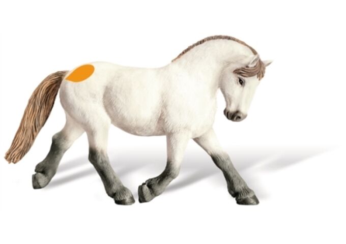 Ravensburger Tiptoi Camargue Hengst