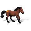 Ravensburger Tiptoi Dartmoor Pony