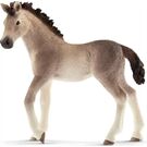 Schleich Hc Andalusier Fohlen