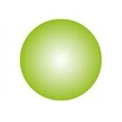 Goki Clickhalbperle Apfelgrün