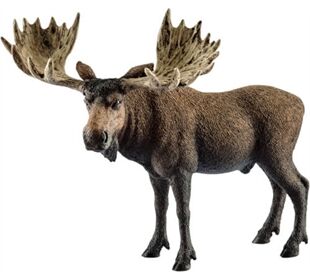 //schaufenster.vedes.de/media/getproductmainimage/default/43252500/43252500_1_2_4055744012747_H