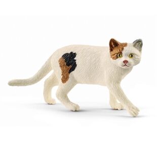 //schaufenster.vedes.de/media/getproductmainimage/default/43264354/43264354_1_2_H