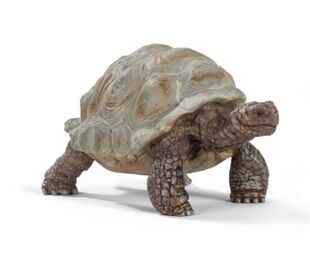 //schaufenster.vedes.de/media/getproductmainimage/default/43264508/43264508_1_2_H