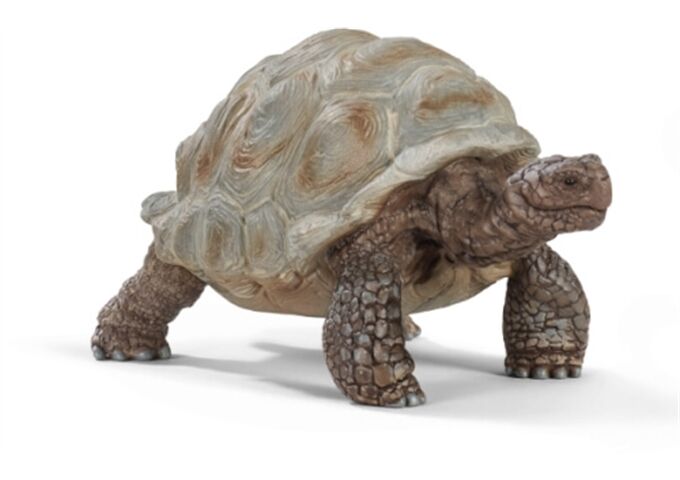 //schaufenster.vedes.de/media/getproductmainimage/default/43264508/43264508_1_2_H