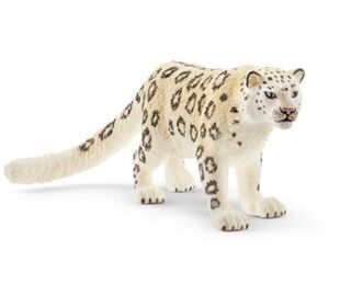 //schaufenster.vedes.de/media/getproductmainimage/default/43264583/43264583_1_2_H