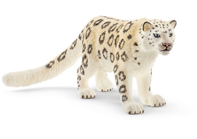 //schaufenster.vedes.de/media/getproductmainimage/default/43264583/43264583_1_2_H