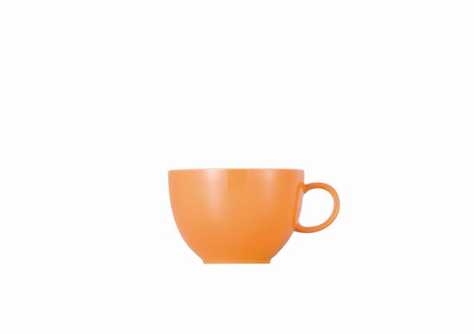 10850-408505-14642_f