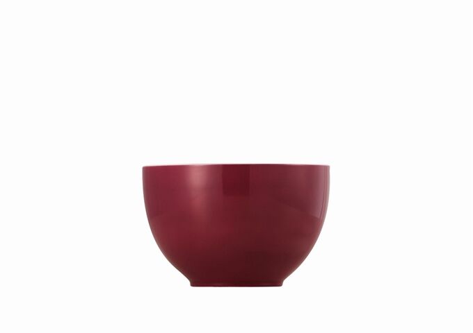 10850-408517-15456_f