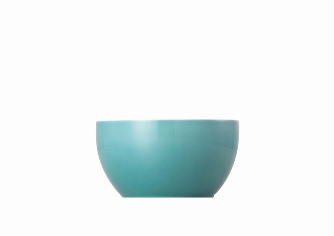 10850-408528-14335_f