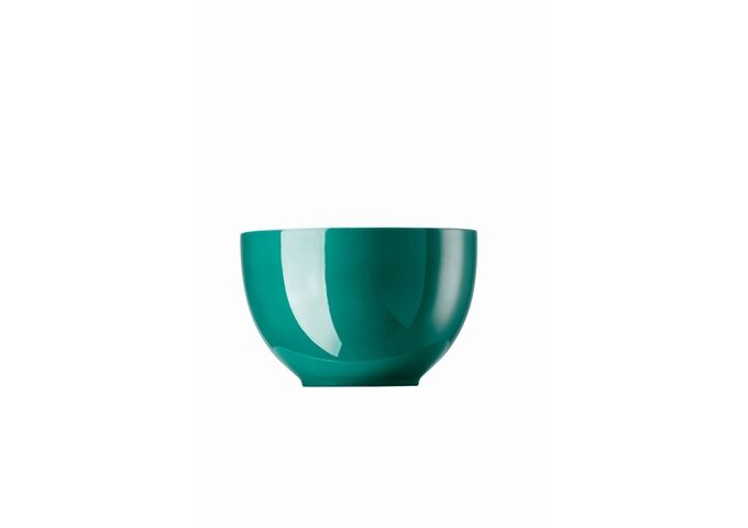 10850-408544-15456_f-0