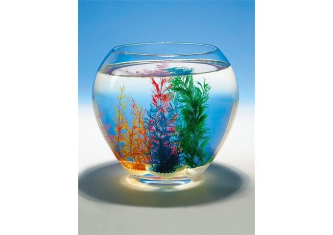 //schaufenster.vedes.de/media/getproductmainimage/default/37007170/37007170_1_2_4013594608367_H